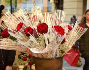 sant jordi, barcelona, roses-4150817.jpg